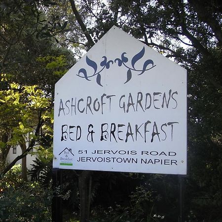 Ashcroft Gardens Bed & Breakfast ネーピア エクステリア 写真